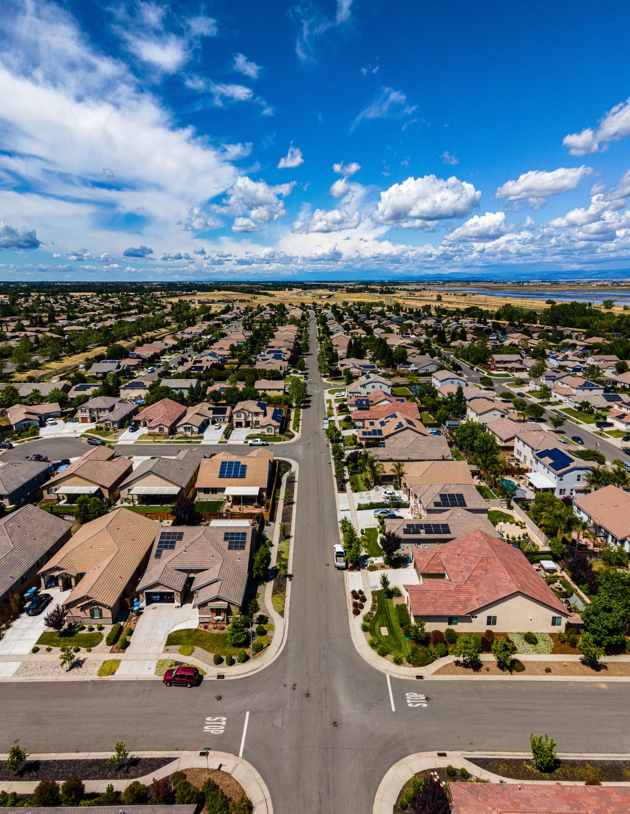 Aerial view of a suburban residential neighbourhood with rows of houses along tree-lined streets.